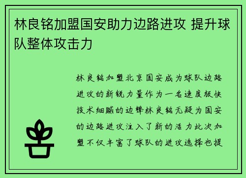 林良铭加盟国安助力边路进攻 提升球队整体攻击力